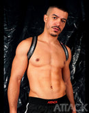 HARNESS SILVER-SPIKE HALTER