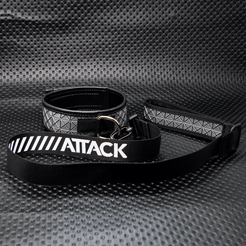 WS DOG COLLAR AND LEASH > SILVER SPIKES