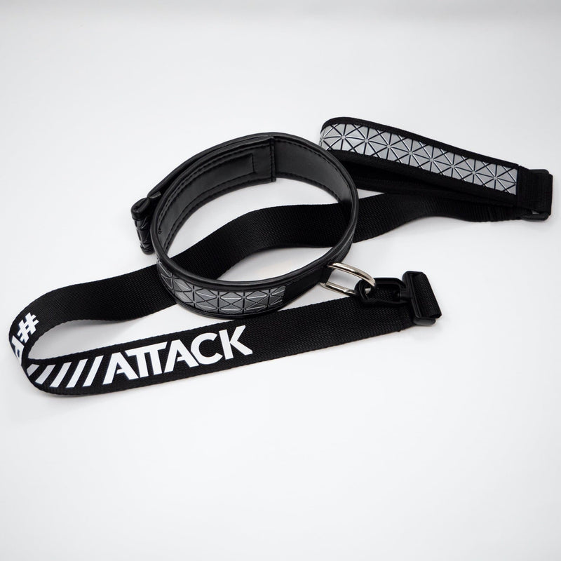 WS DOG COLLAR AND LEASH > SILVER SPIKES